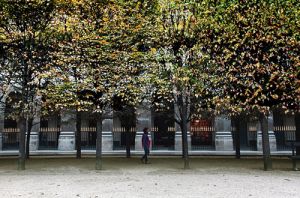 Autumn Trees in the Gardens of the Royal Palace Paris